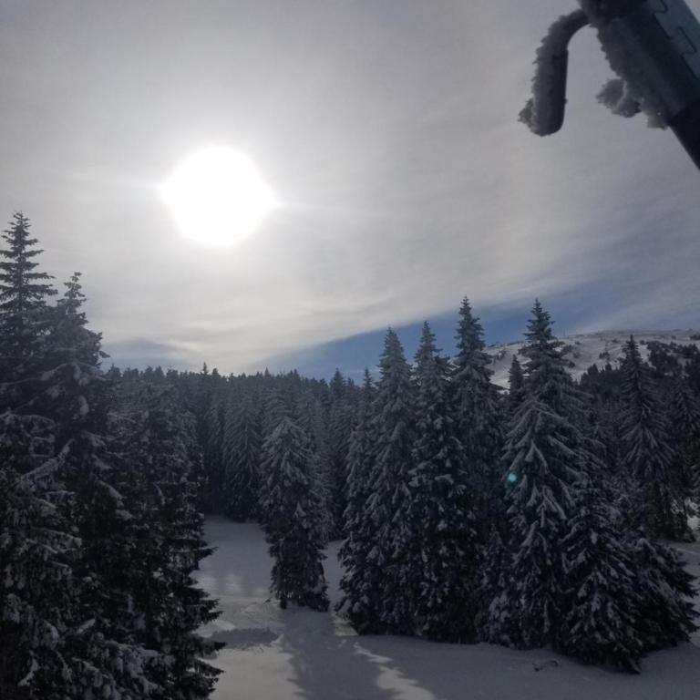 Kopaonik Milmari & Spa N Lux 90 - Studio Apartment - 85