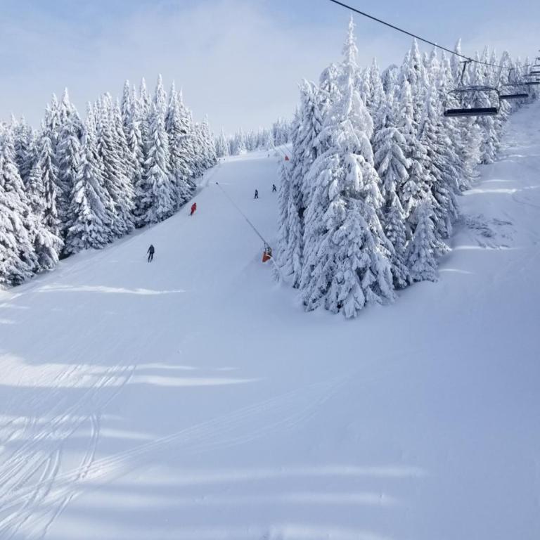 Kopaonik Milmari & Spa N Lux 90 - Studio Apartment - 83