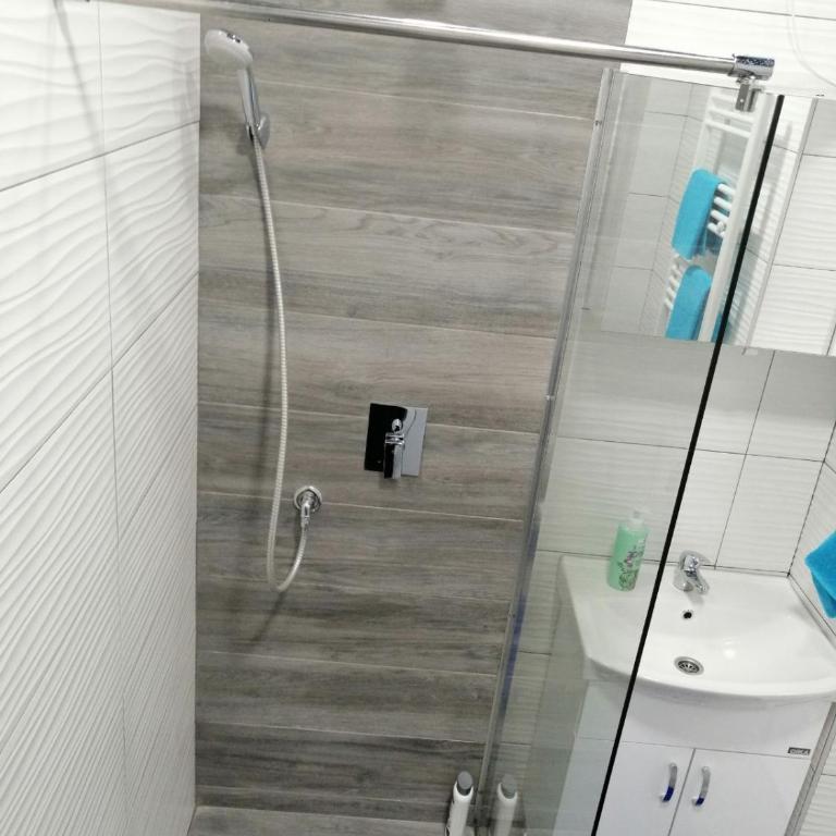 Shine family apartment Sarajevo - Apartman sa 1 Spavaćom Sobom - 7