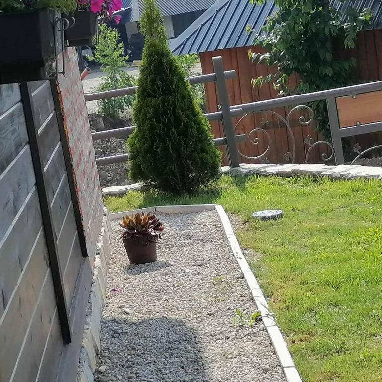 Tarska Bajka - Kuća sa 1 Spavaćom Sobom - 8