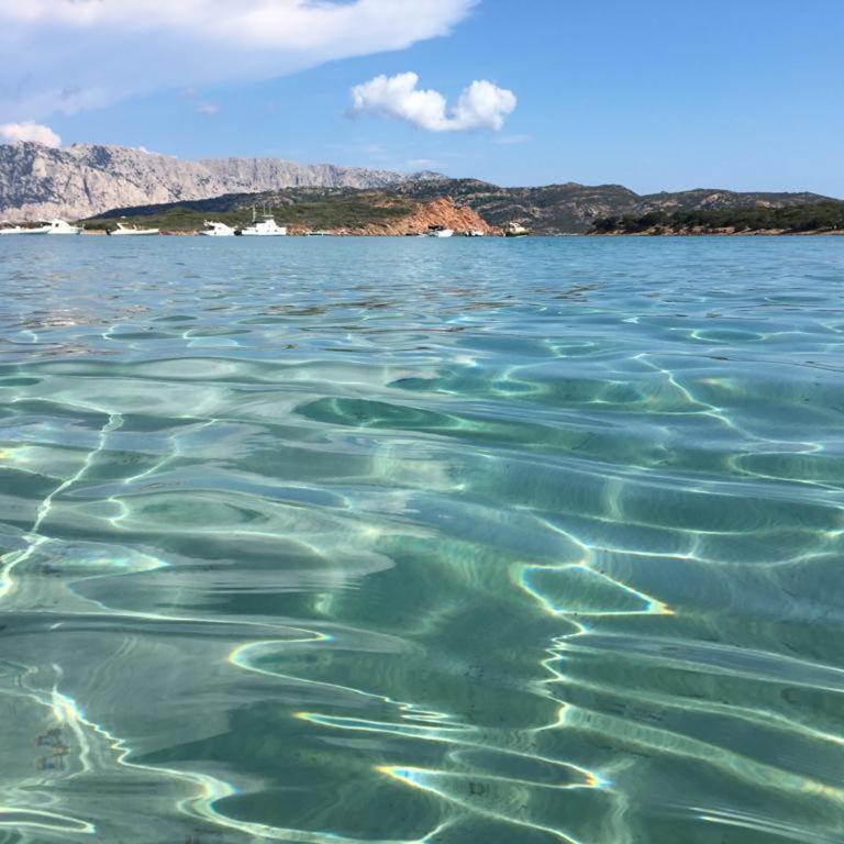 Il Bouganville a 150m dalla spiaggia con vista sulla splendida baia di Porto Raphael - Casa con 2 Camere da Letto - 48