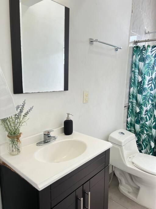 Hermoso Dpto a pasos del Fashion Drive c/alberca - Three-Bedroom Apartment - 8
