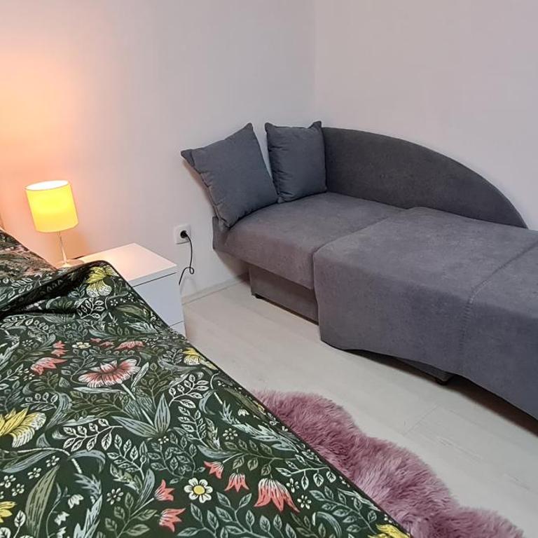 KONSTANTIN apartment - Apartman sa 1 Spavaćom Sobom - 9