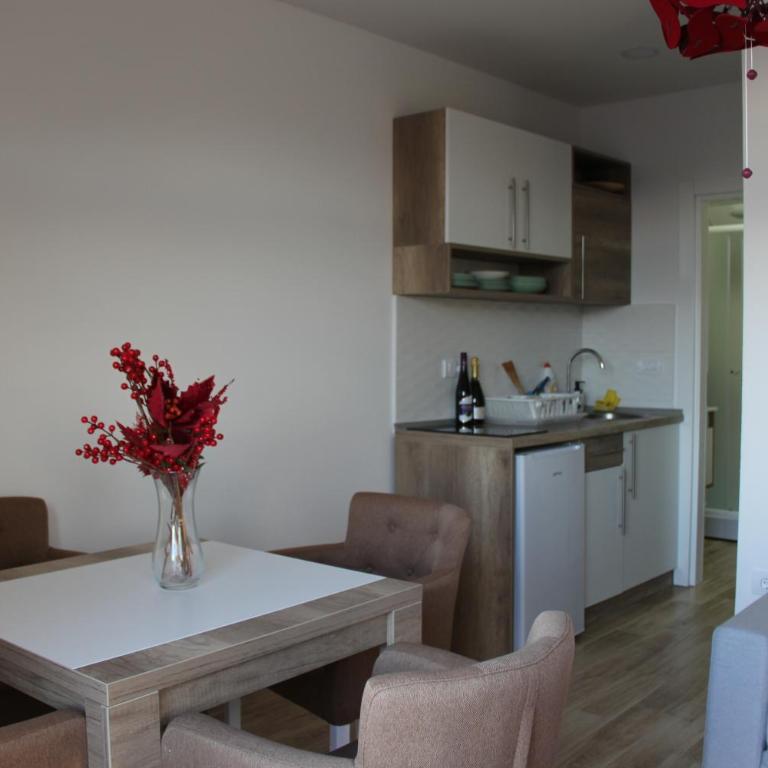 Topview Kopaonik-Dvori E15 - Apartment with Mountain View - 8