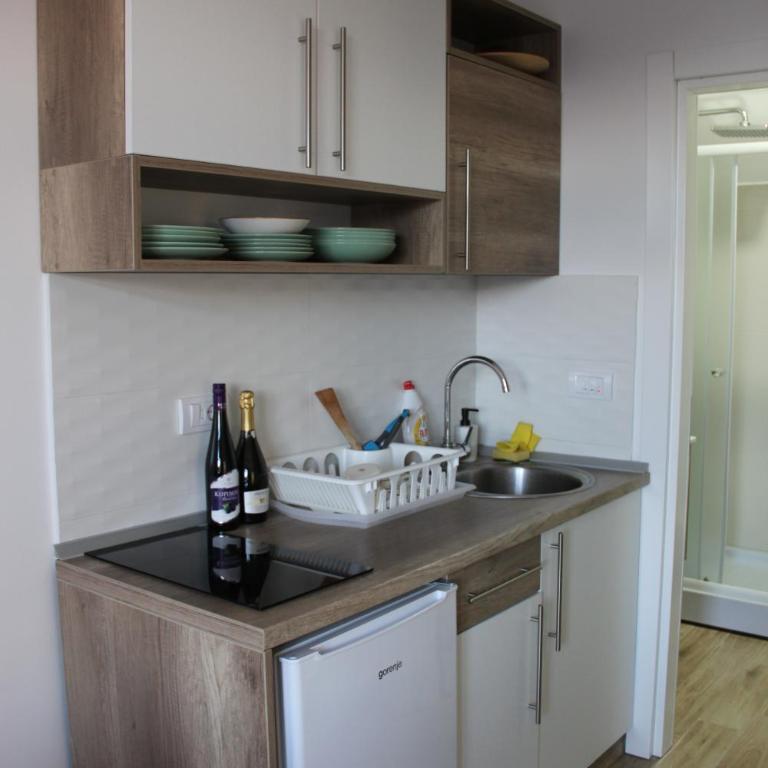 Topview Kopaonik-Dvori E15 - Apartment with Mountain View - 9