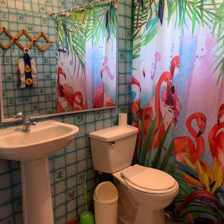 Cabañas gonzalez caniupan - Three-Bedroom House - 8