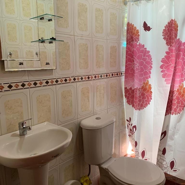 Cabañas gonzalez caniupan - Two-Bedroom Apartment - 5