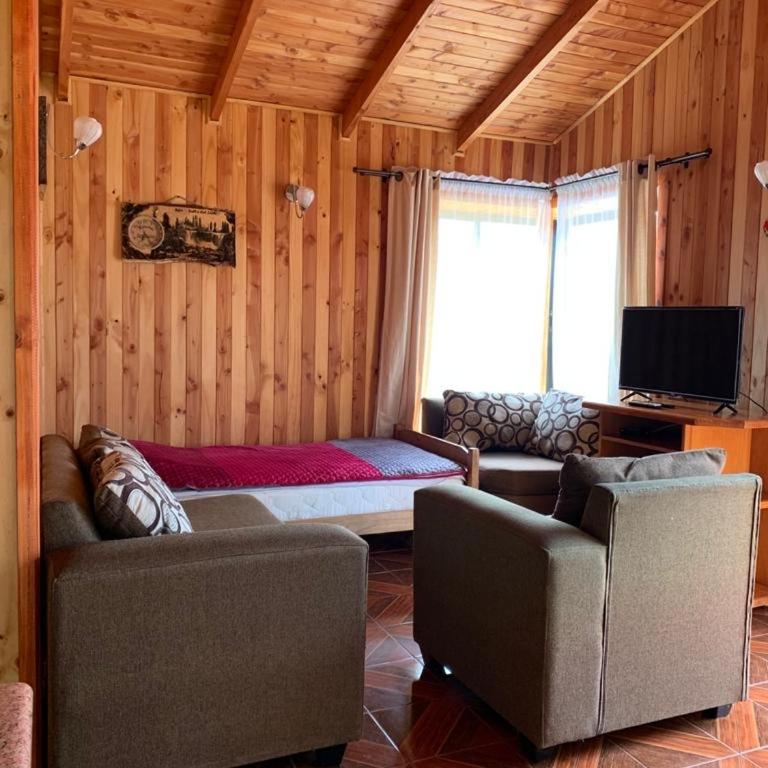 Cabañas gonzalez caniupan - Three-Bedroom Apartment - 4
