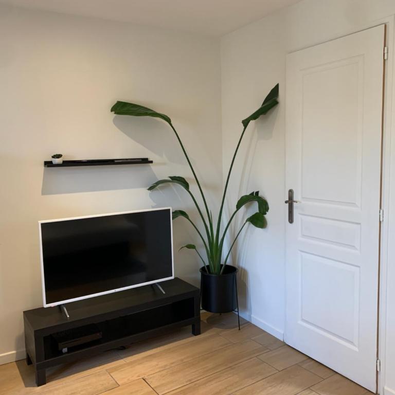 Appartement duplex proche zénith, mégacité, stade - Appartement 1 Chambre - 3