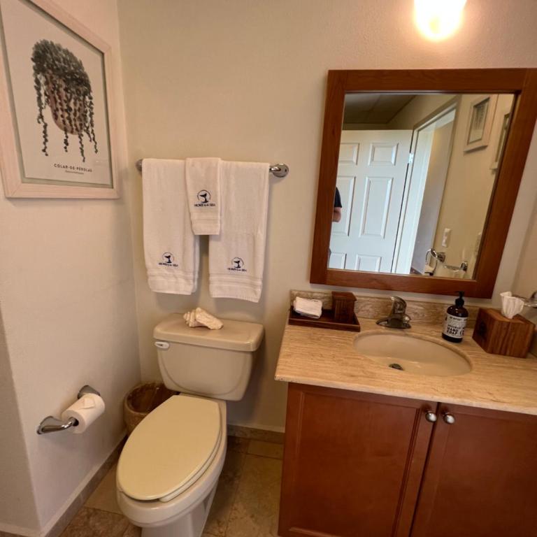 Beachfront 2 bedroom Condo in Playa Royale Resort, Nuevo Vallarta - Apartamento de 2 dormitorios - 22