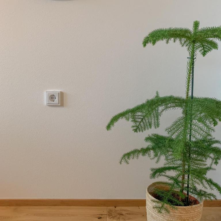 Landhaus Gappmaier - Apartment mit 3 Schlafzimmern - 9