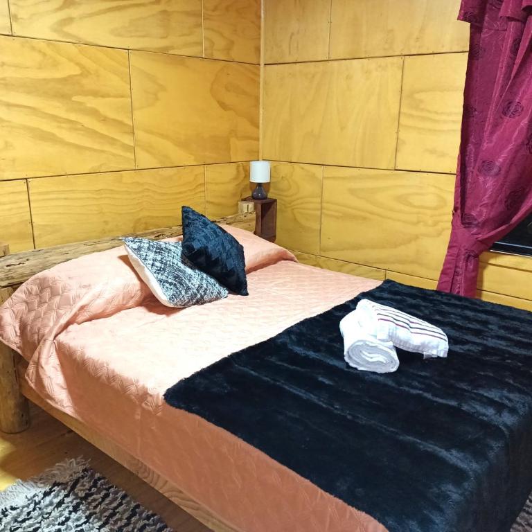 CABAÑAS RAYEN HUILLINCO - Apartamento de 2 dormitorios con vistas al jardín - 11