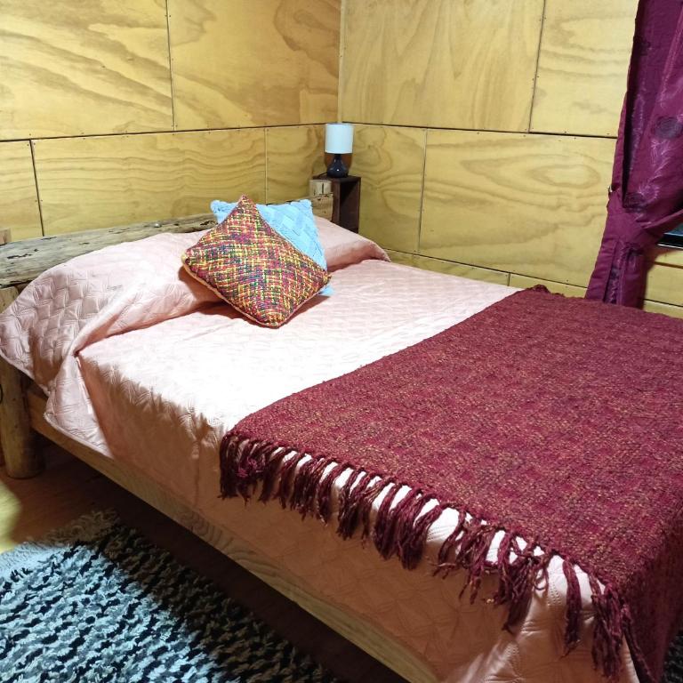 CABAÑAS RAYEN HUILLINCO - Apartamento de 2 dormitorios con terraza - 7