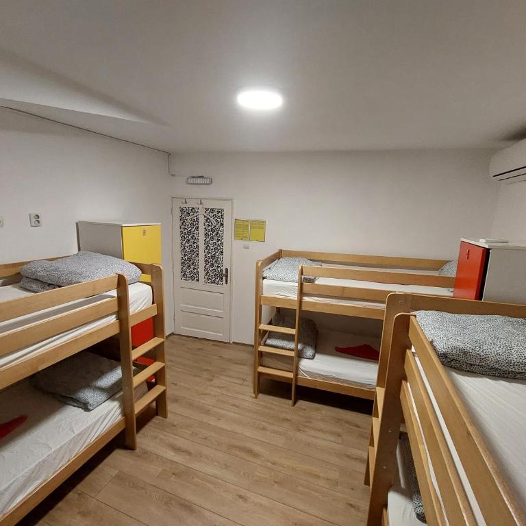 Hostel Inn Downtown - Krevet za Jednu Osobu u Šestokrevetnoj Spavaonici sa Pogledom na Znamenitost - 4