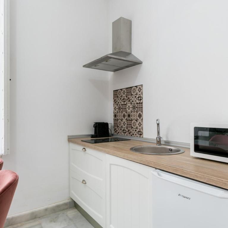 San Lorenzo Olehousing - Estudio - 13