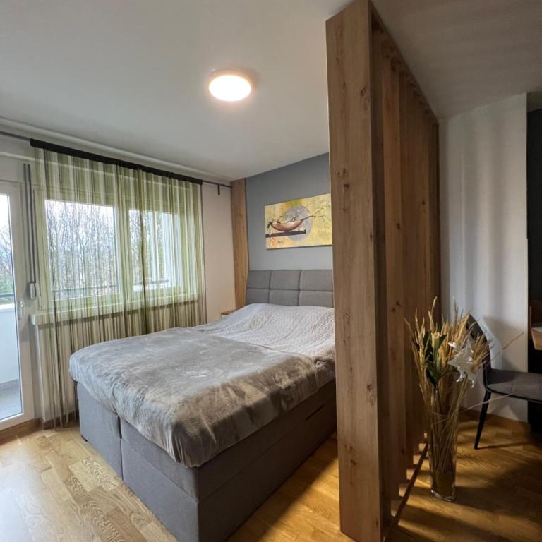 NeNi Apartman - Apartman sa 1 Spavaćom Sobom - 3