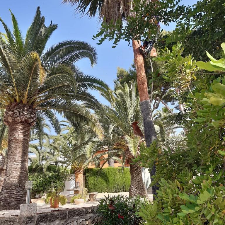 Casa Wens Bénimeit - Three-Bedroom Villa - 25