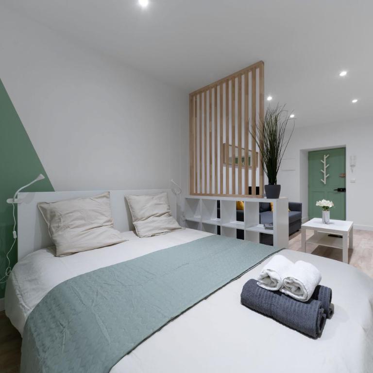 ※Perrier Menthe※ Hyper-Centre et tranquillité - Appartement 1 Chambre - 9