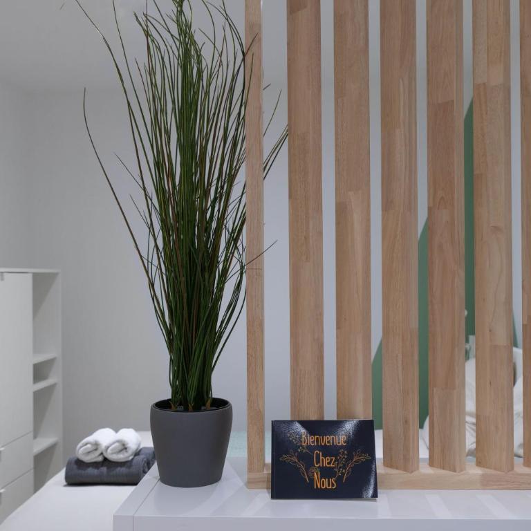 ※Perrier Menthe※ Hyper-Centre et tranquillité - Appartement 1 Chambre - 21