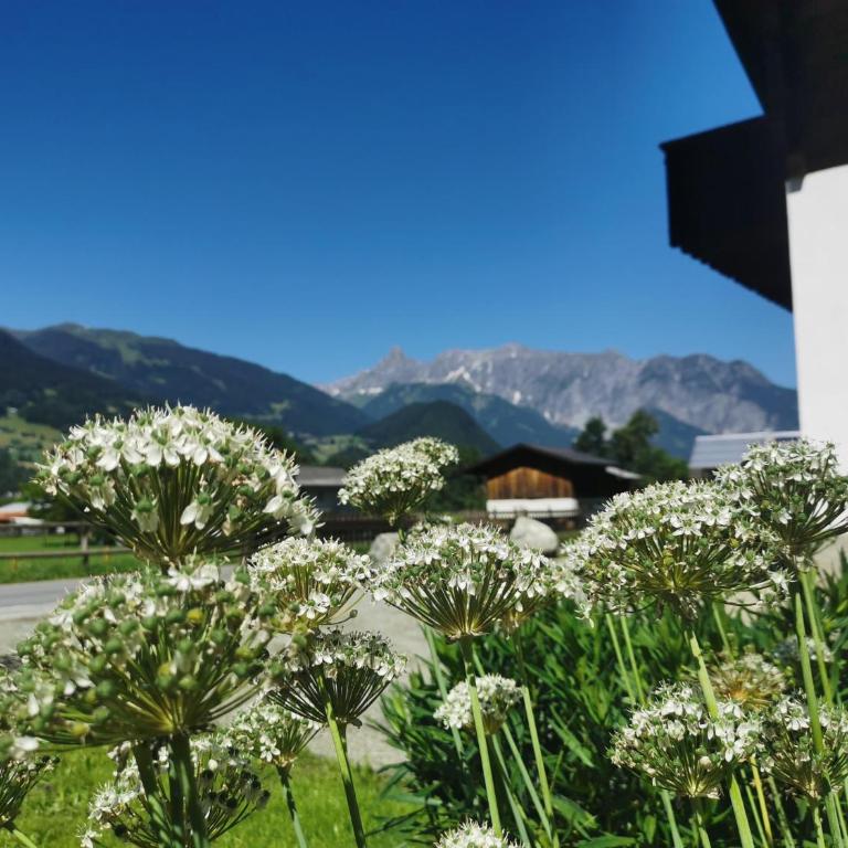 Haus Buachwald - Casa de 4 dormitorios - 53