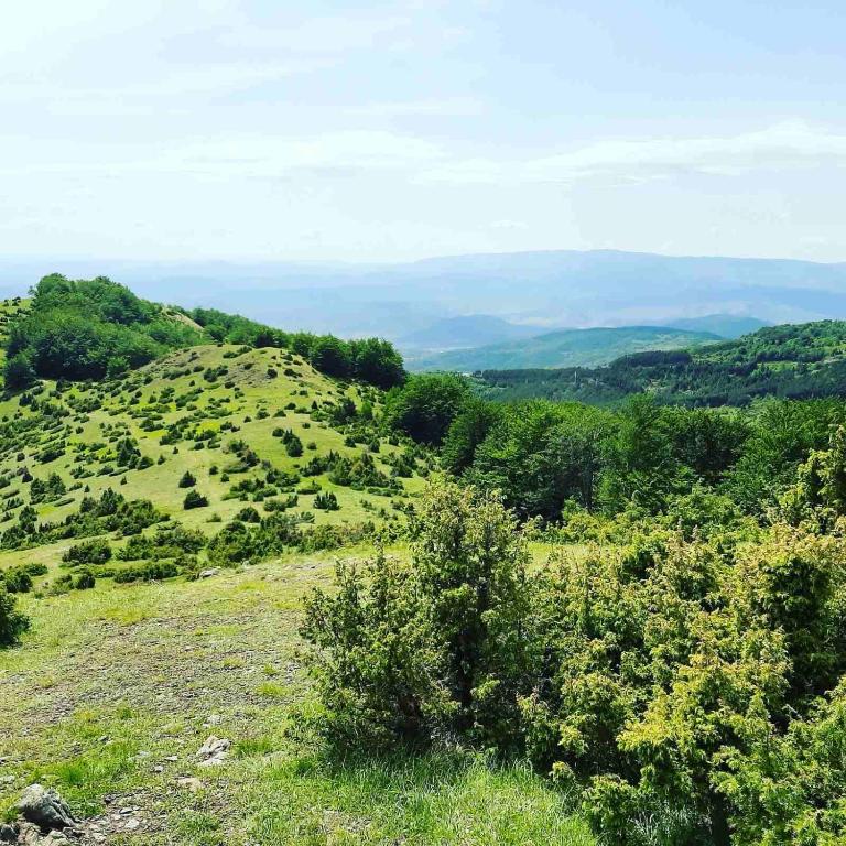 P20 Milmari, DeLuxe Studio, Kopaonik - Deluxe Studio - 43