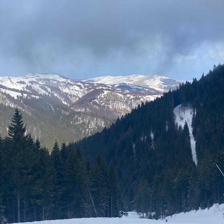 P20 Milmari, DeLuxe Studio, Kopaonik - Deluxe Studio - 46