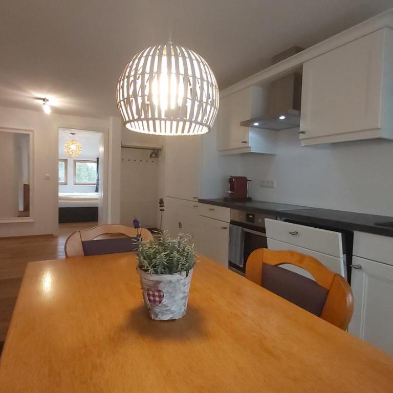 SCHWEIZER Hof - Apartment mit 2 Schlafzimmern - 6