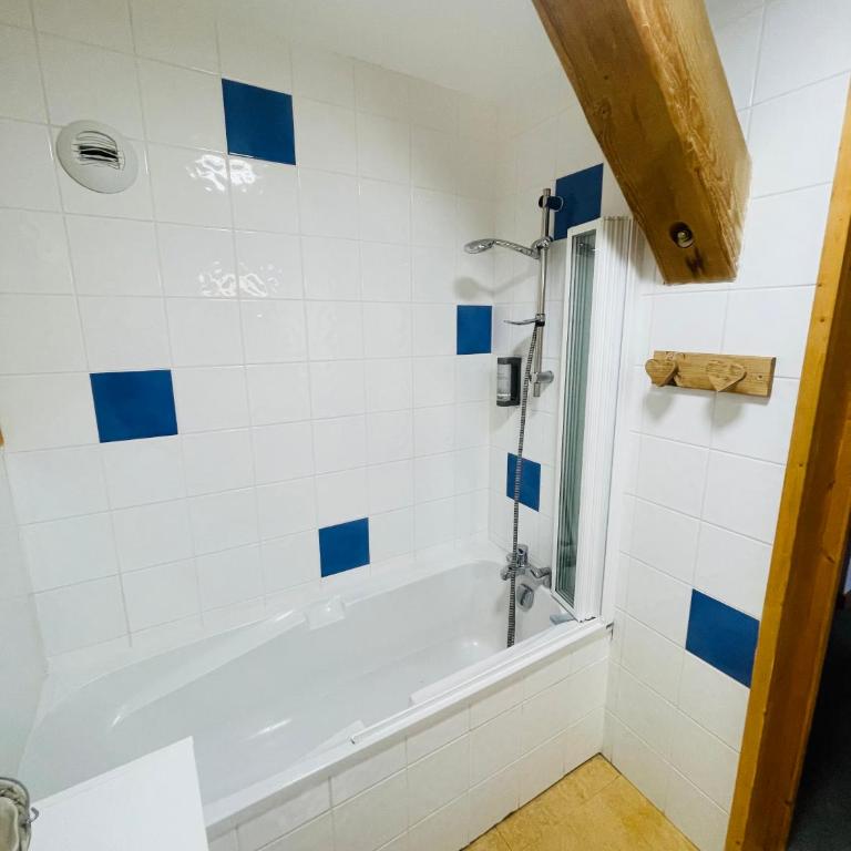 Shatzy - Appartement 1 Chambre - 4