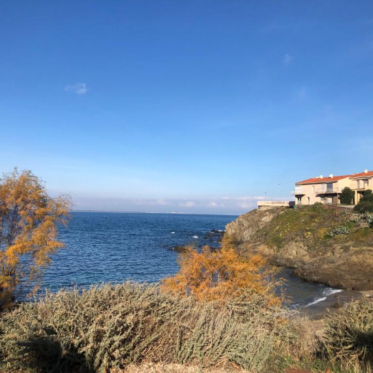 Appartement vue mer les pieds dans l'eau - Apartamento de 1 dormitorio - 12