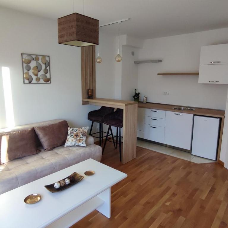 Apartmani Stari Aerodrom - One-Bedroom Apartment - 14