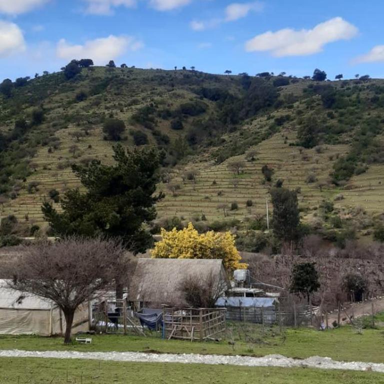 Cabaña Don Pepe, en Estancia Don Domingo - Chalet de 2 dormitorios - 18