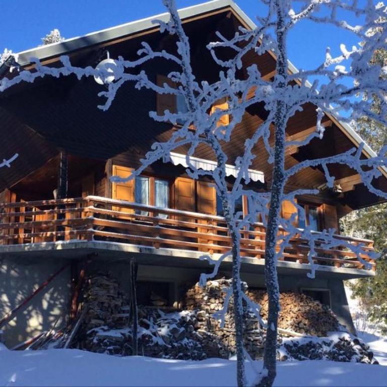 Chalet Les Airelles - Chalet - 1