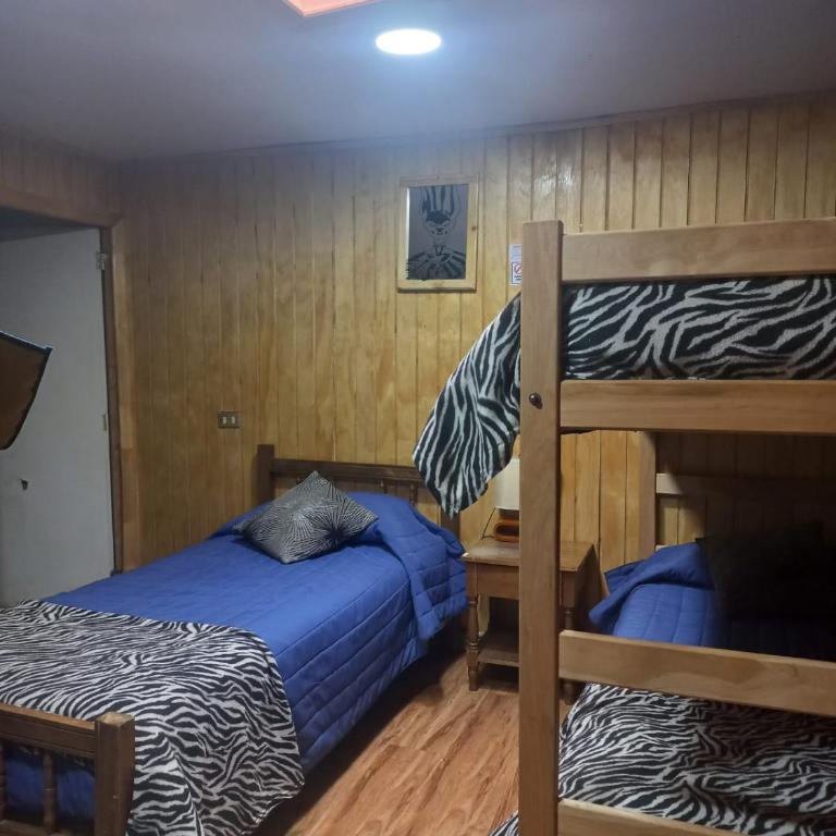Hostal Trekking De La Patagonia - Habitación Compartida Mixta - 3