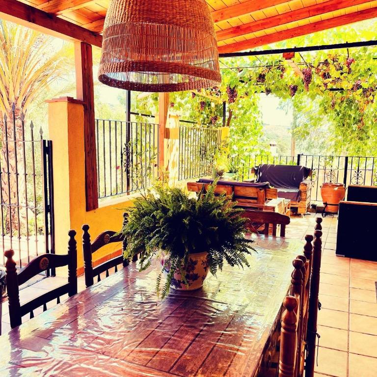 Cortijo el Alcornocal - Chalet - 96