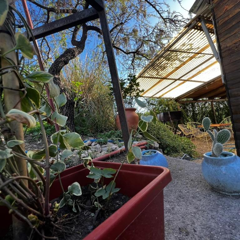 el PARAISO - One-Bedroom House - 12