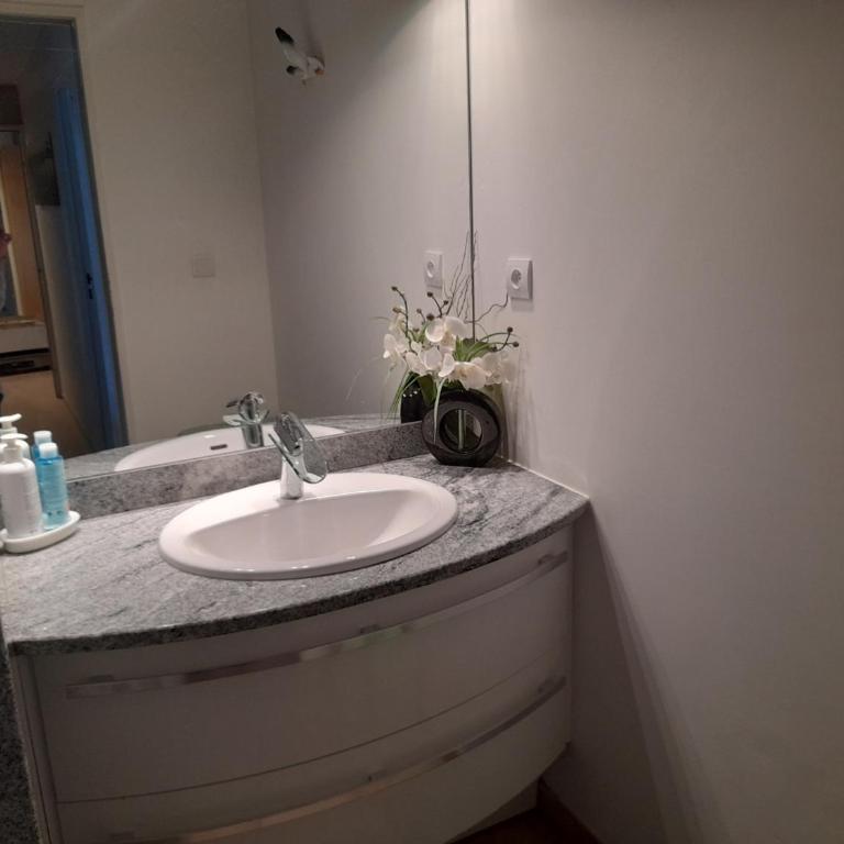 T3 centre Arcachon avec parking, vue bassin, proches commerces - FR-1-319-449 - Appartamento (6 Adulti) - 9