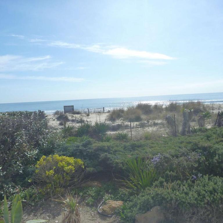 Appartement 4/5 pers avec parking privé, vue sur mer - FR-1-387-105 - Appartement (5 Adultes) - 1