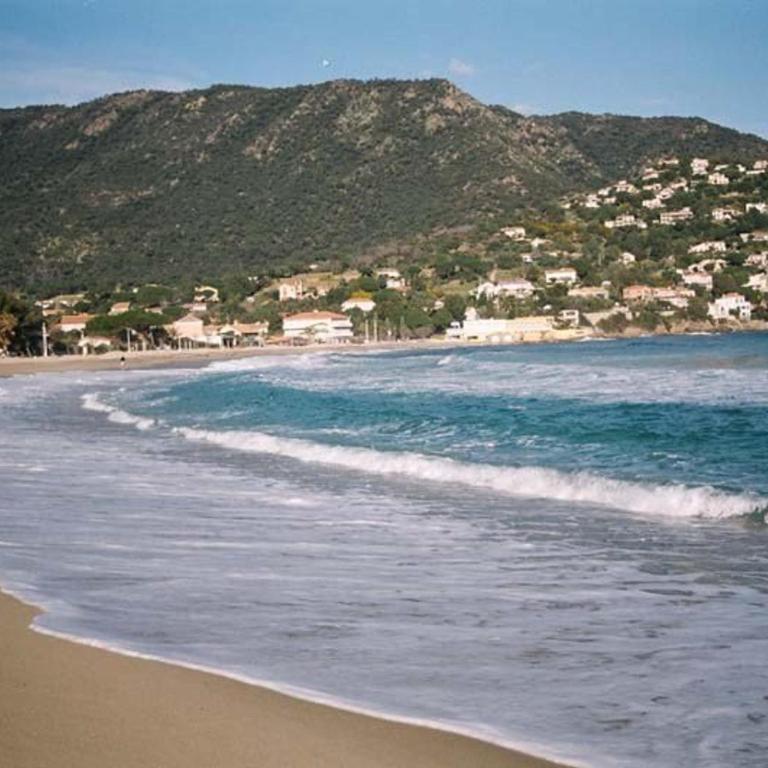 Studio coin nuit 4 pers, parking, animaux admis, proche plage - Le Lavandou - FR-1-251-230 - Apartment (4 Adults) - 12