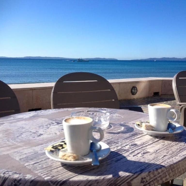 Studio coin nuit 4 pers, parking, animaux admis, proche plage - Le Lavandou - FR-1-251-230 - Apartment (4 Adults) - 16