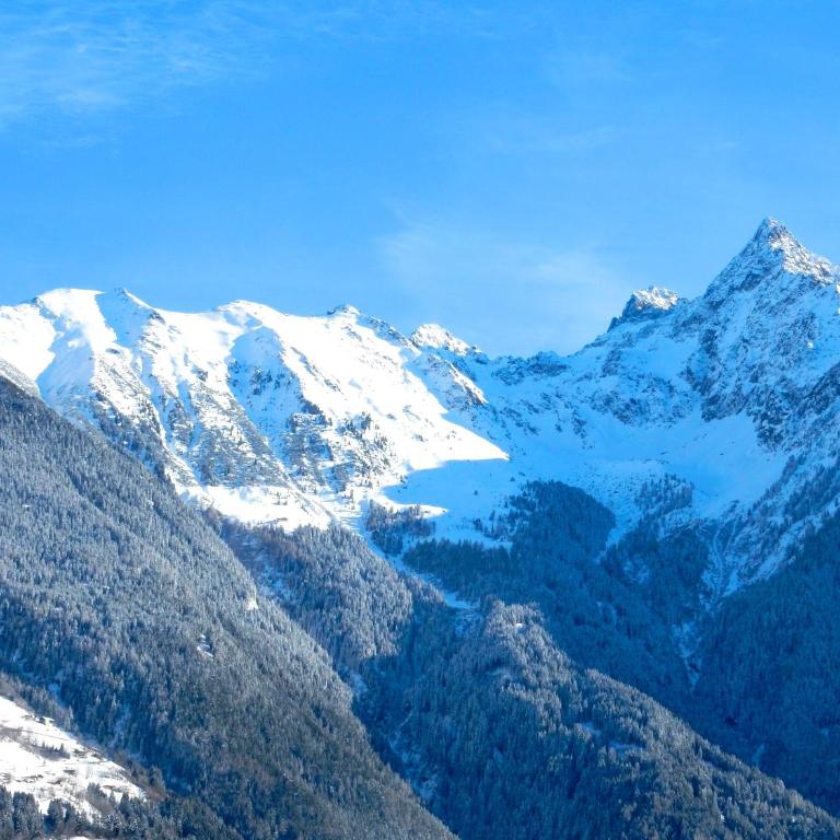Ferienhaus Alpina Ötztal - Apartment mit Blick auf die Berge - 35