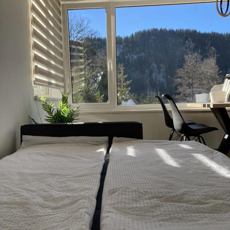Nivalis Hill 5, Jahorina - One-Bedroom Apartment - 21