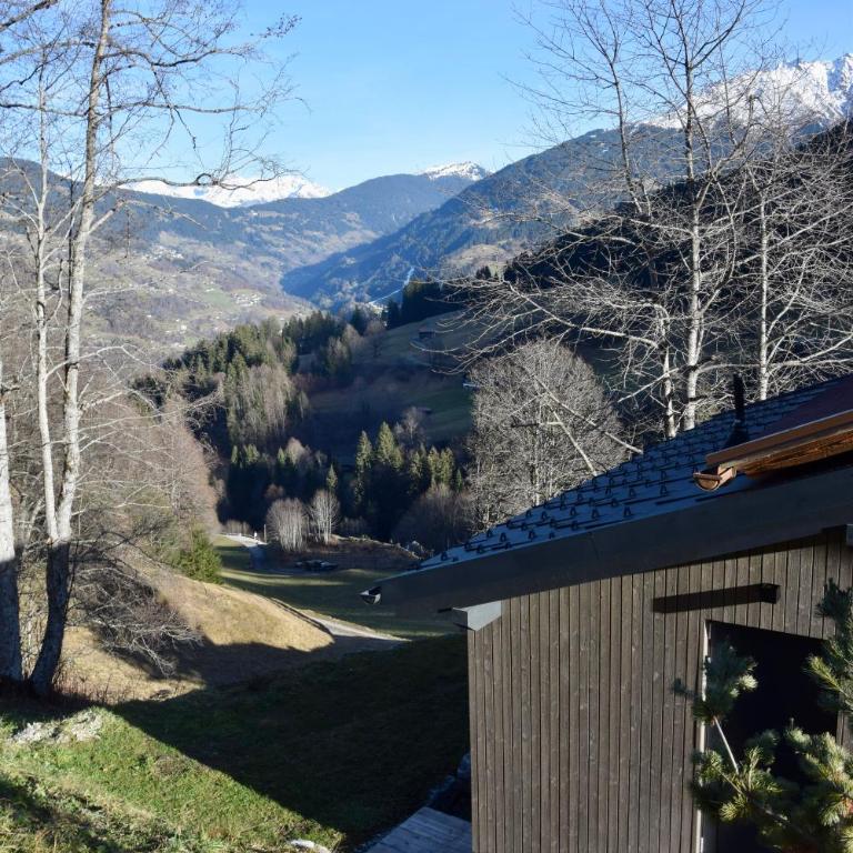Alpenchalet Piz Hüsli - Chalet mit 2 Schlafzimmern - 46