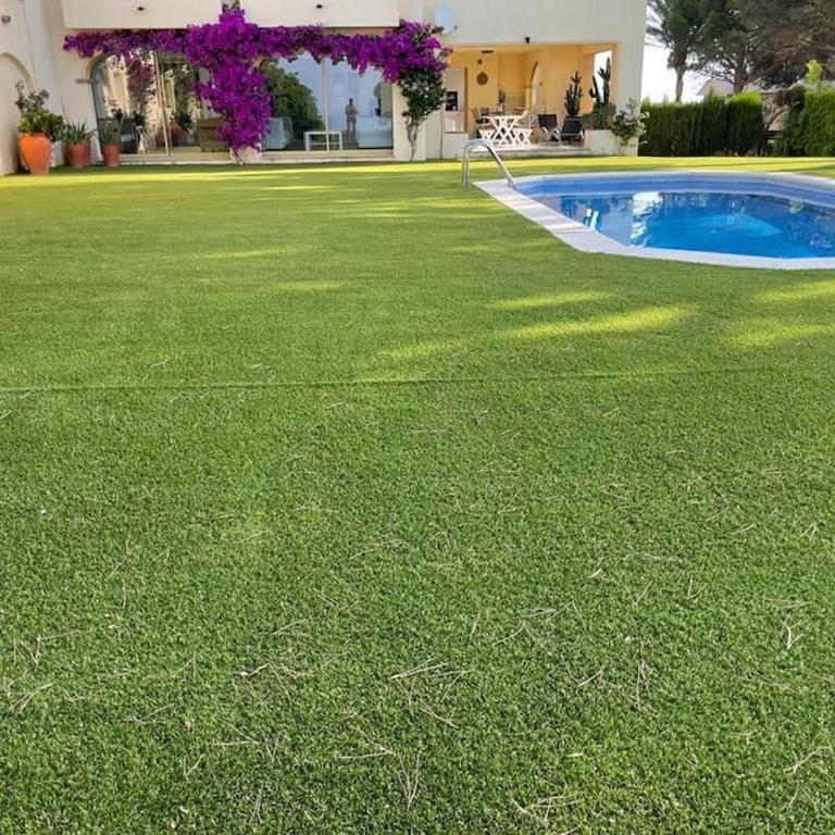 Sea view house with private pool and garden - Casa de 3 dormitorios - 11