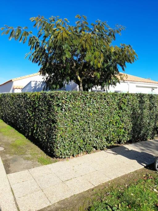Maisonnette à deux pas de la plage dans résidence calme - Casa con 2 Camere da Letto - 42