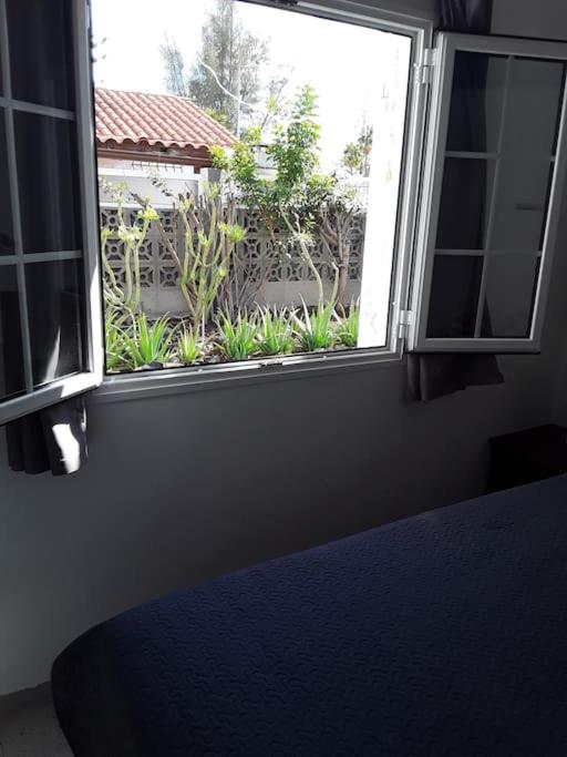Très BEAU BUNGALOW,JARDIN TROPICAL, RENOVATION ETE 2020 - Casa con 1 dormitorio - 56