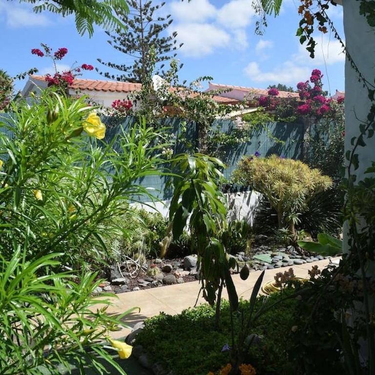 Très BEAU BUNGALOW,JARDIN TROPICAL, RENOVATION ETE 2020 - Casa con 1 dormitorio - 16