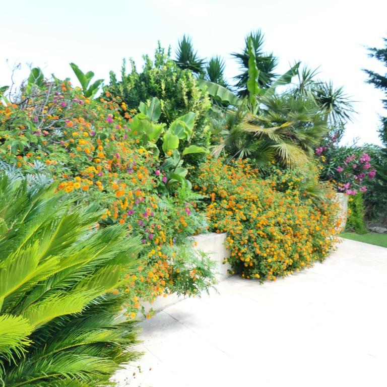 Luxueuse Villa Climatisée à Cannes - Villa - 6
