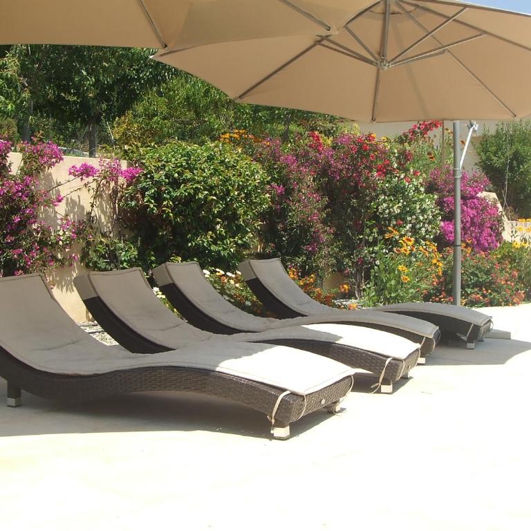 Luxueuse Villa Climatisée à Cannes - Villa - 8