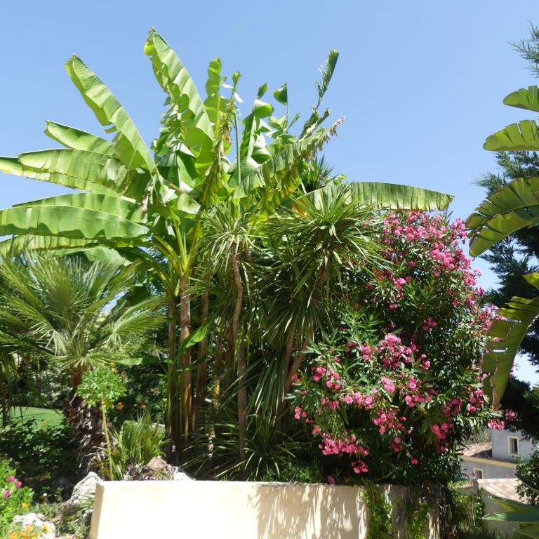 Luxueuse Villa Climatisée à Cannes - Villa - 16