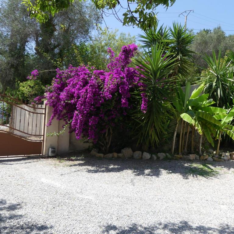 Luxueuse Villa Climatisée à Cannes - Villa - 4